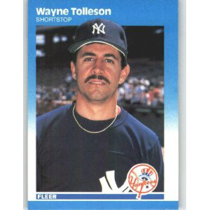 Wayne Tolleson Baseball New York Yankees 1987 Fleer #118